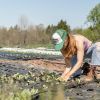 magellan bio : l'innovation écoresponsable