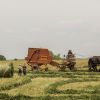 L'agriculture et l'IA : révolution en cours