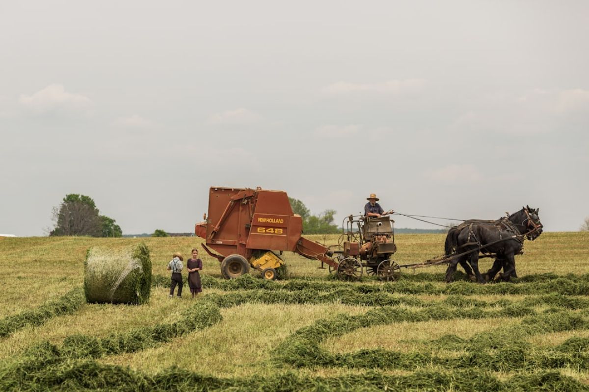 L'agriculture et l'IA : révolution en cours