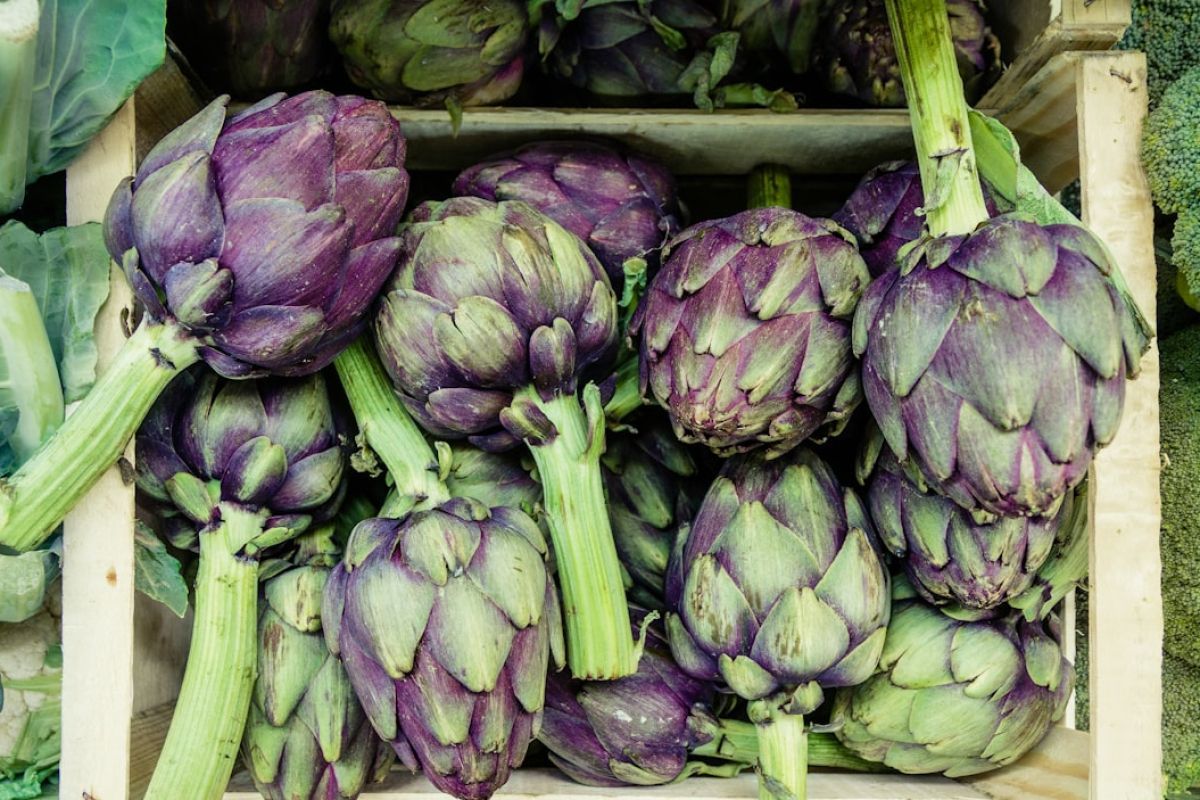 bio c’ bon : des produits sains près de chez vous