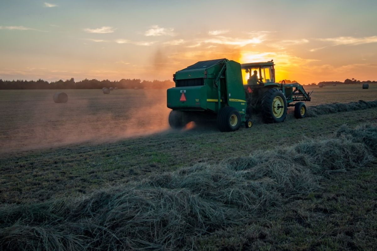 Crise agricole : pourquoi tout est bloqué ?