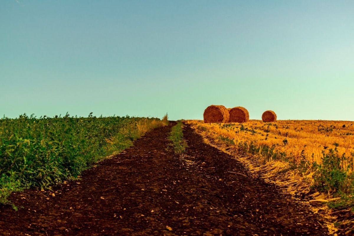 Loi egalim : impact réel sur l'agriculture ?